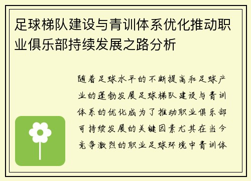 足球梯队建设与青训体系优化推动职业俱乐部持续发展之路分析