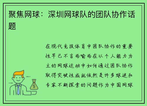 聚焦网球：深圳网球队的团队协作话题