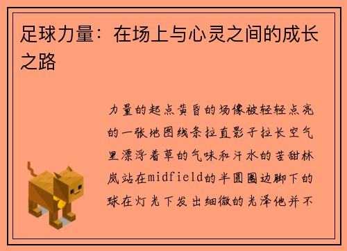 足球力量：在场上与心灵之间的成长之路
